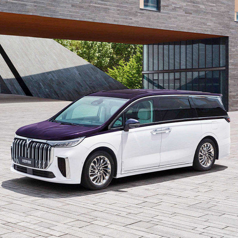 Coche monovolumen 4X4 eléctrico puro de largo alcance, edición Premium, superventas, para empresas, China