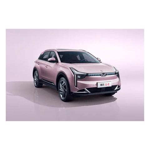 Coche EV electromagnético totalmente eléctrico NETA U con buen precio U-II 400 versión estándar