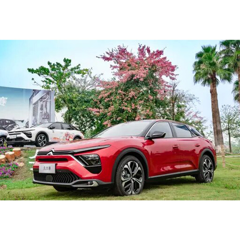 Gasolina Hatchback 4X4 SUV citroen versalles 2024 New Glory Edition