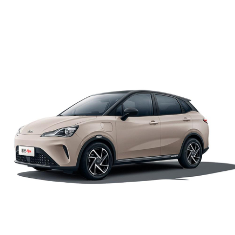 Popular Neta Aya SUV 318 Lite Edition Coche eléctrico puro