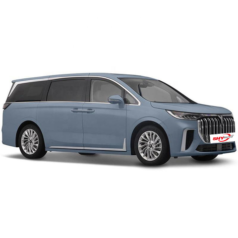 Coche monovolumen 4X4 eléctrico puro de largo alcance, edición Premium, superventas, para empresas, China