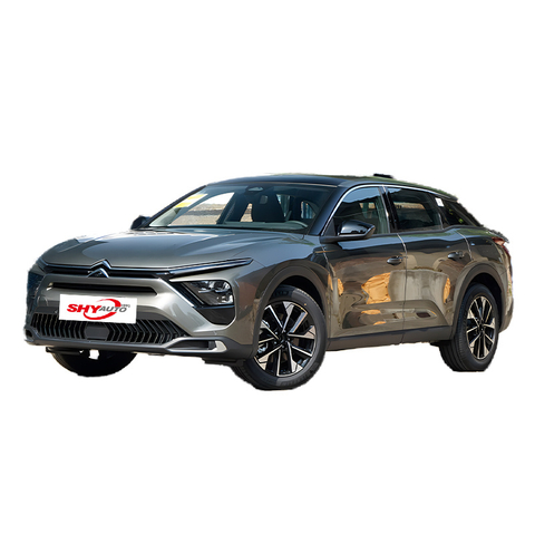 2024 Fábrica que vende el nuevo coche de combustible Hatchback usado Versailles Power Edition para adultos